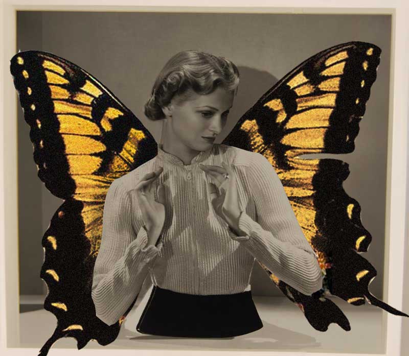 Photomontage d'une femme avec des ailes de papillon jaunes